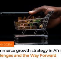 Ecommerce Growth Strategy