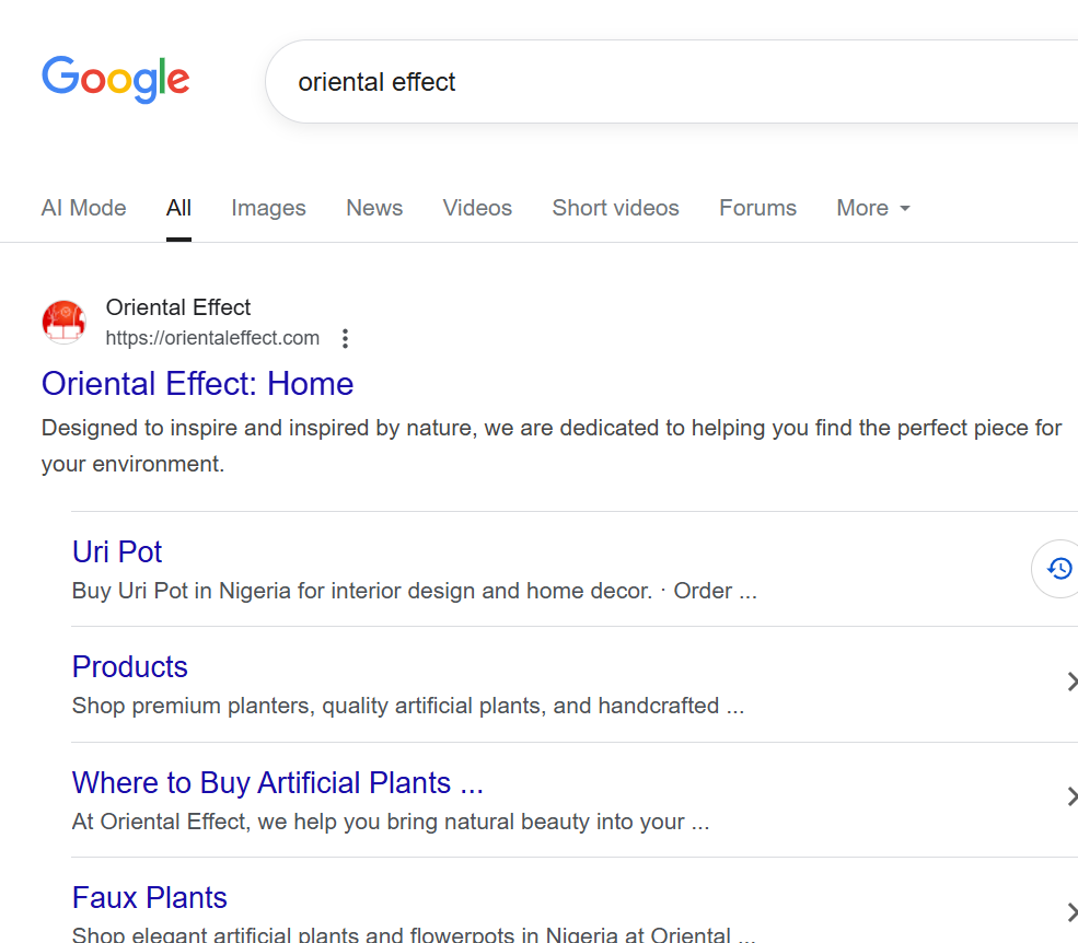 SEO Marketing result