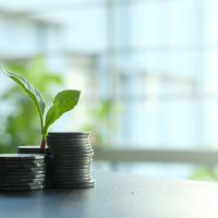 Why Most Agencies Fail to Deliver Marketing ROI