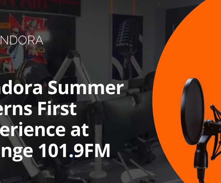 Pandora summer interns
